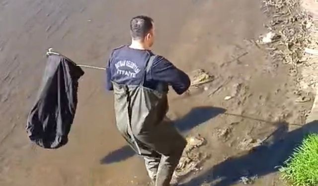 İtfaiye ekipleri suya düşen horoz için seferber oldu