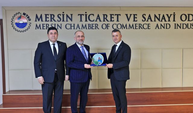 Şırnak’tan Karadeniz’e Uzanan Yeşil Lojistik Hamlesi