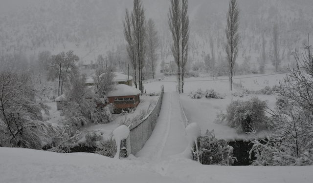 Uludere ve Beytüşşebap'ta kar yağışı etkili oldu