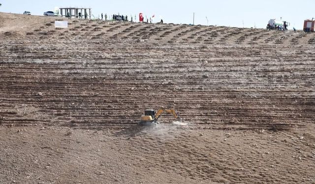 Şırnak'ta Erozyona Karşı 12 Bin Yeni Fidan