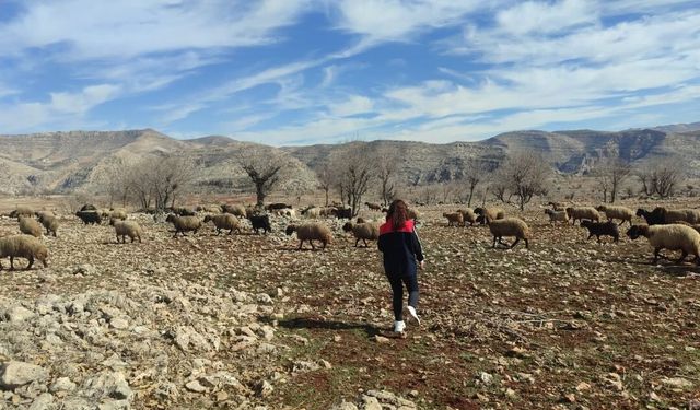 Mera Kanunu Kapsamında Şırnak’ta Arazi İncelemesi Yapıldı