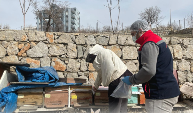 Şırnak’ta yem denetimleri sürüyor