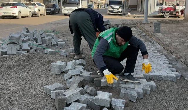 Silopi Belediyesi yol çalışmalarını sürdürüyor