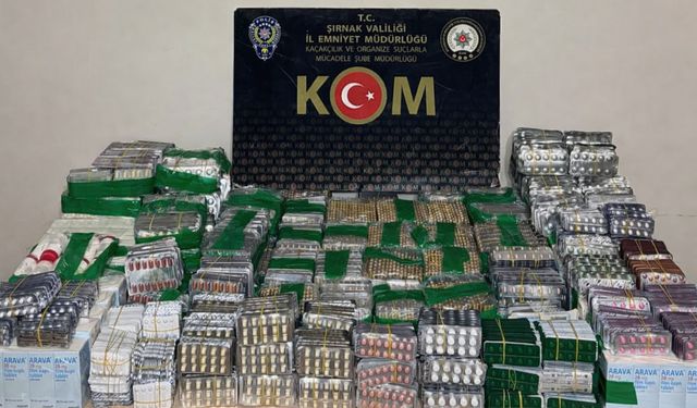 Şırnak’ta Gümrük ve İl Merkezinde Operasyon, 57 Gözaltı