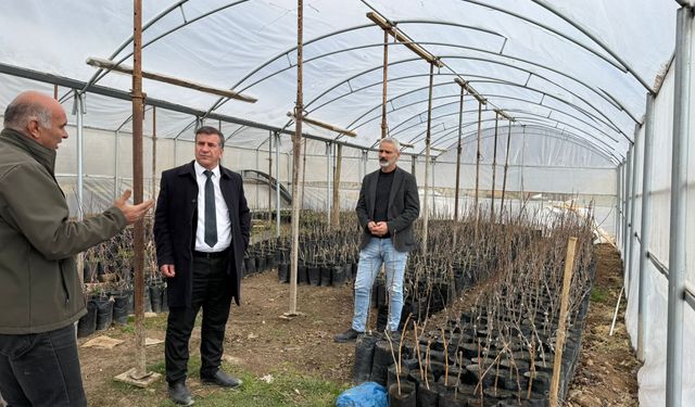 Beytüşşebap’ta yerli fidan hamlesi