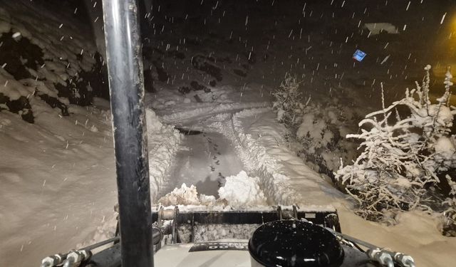 Siirt yolu açıldı, mahsur kalan vatandaşlar kurtarıldı