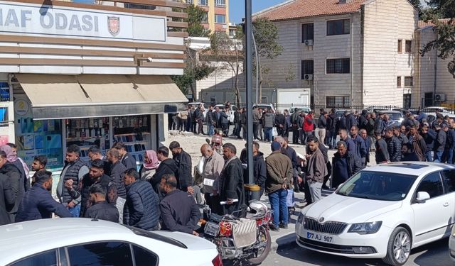 APP Plaka Panik Yaptırdı, Vatandaş Kuyruğa Girdi