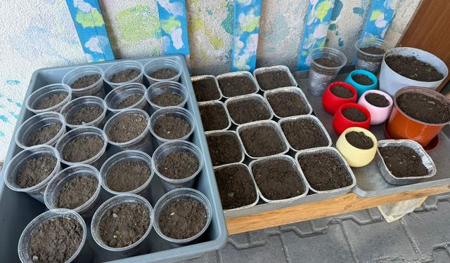 Bölgede Nevruz hazırlıkları başladı