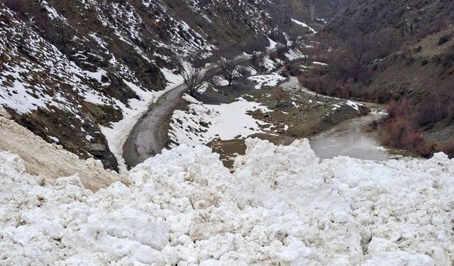 Van''da çığ, 1 mahalle ve 8 mezraya ulaşımı sağlanamıyor
