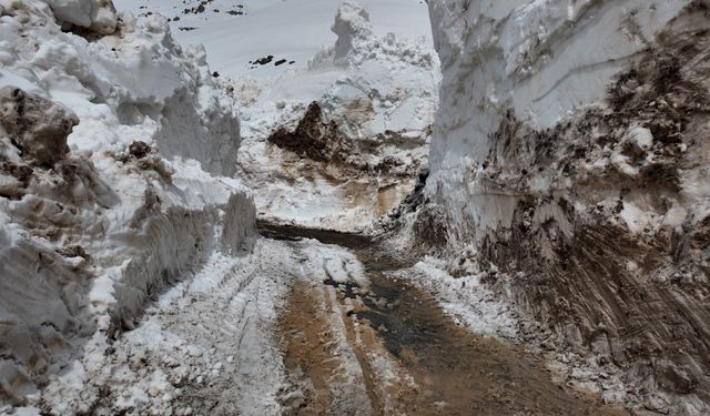 Şırnak'ta 11 Metrelik Karı Aşarak Bayram Yolunu Açıyorlar