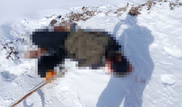 Sınıra Yakın Kırsal Alanda Bir  Genç Ölü Bulundu