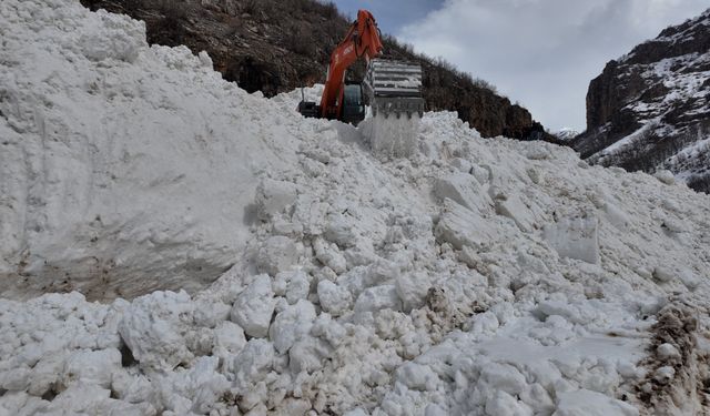 Şırnak'a son dönemlerin en büyük çığı düştü