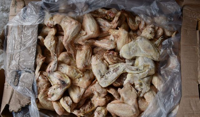 Zabıta ekipleri 50 ton bozuk tavuk ele geçirildi