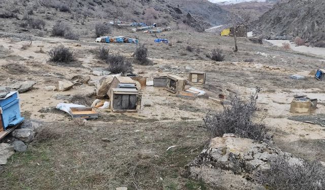 Selden Etkilenen 150 Arı Kovanı Zarar Gördü