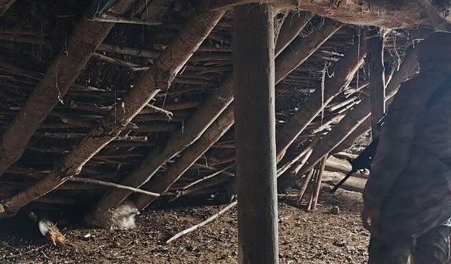 Ahır Çökmesi Sonrası 5 Hayvan Telef Oldu