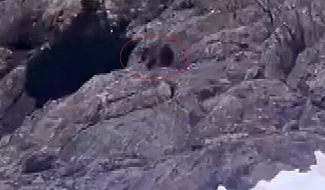 Şırnak’taki  Ayılar kış uykusundan uyandı!