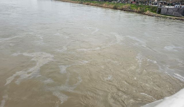 Cizre’de Boru Hattı Sızıntısı, Dicle Nehri Petrolle Kaplandı