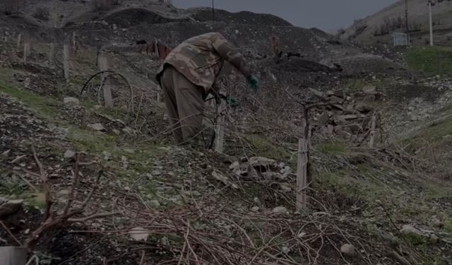 Bağcılık ve Serada Üretim Yapan Aileye Destek