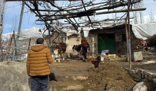 Uludere Tarım Müdürlüğü’nden Hayvan Sağlığı Atağı