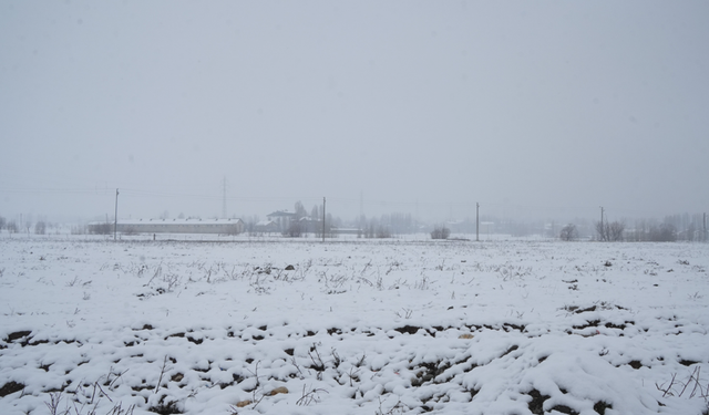 Mart'ta yağan kar 40 köy yolunu kapattı