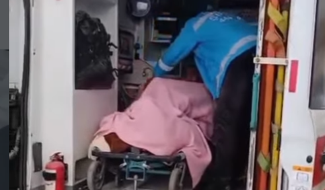 Şırnak'ta Sağlık Ekipleri Uzak Köylere Şifa Taşıyor