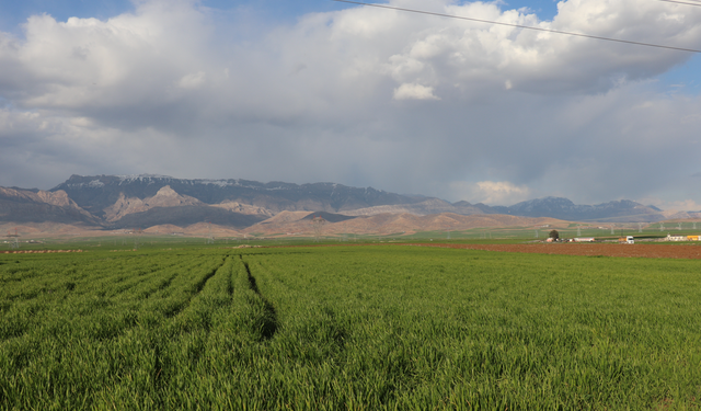 Şırnak’ta ÇKS Ürün Güncelleme Uyarısı