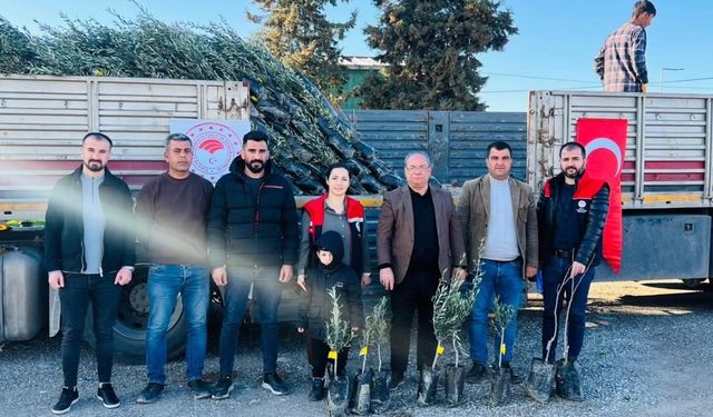 Silopi’de meyveciliğe büyük destek