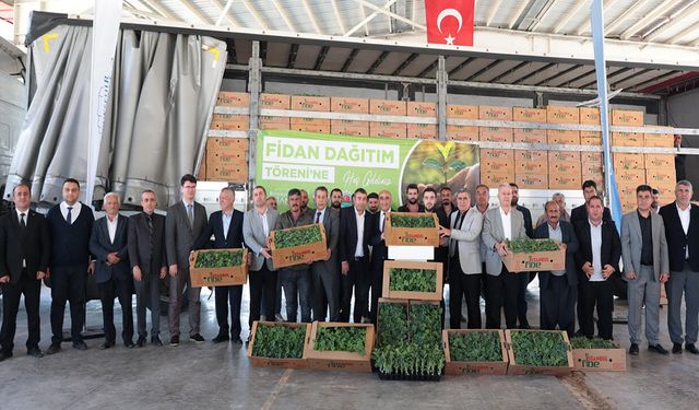 Karpuz üreticisi çiftçilere yüzde 50 hibeli fide desteği