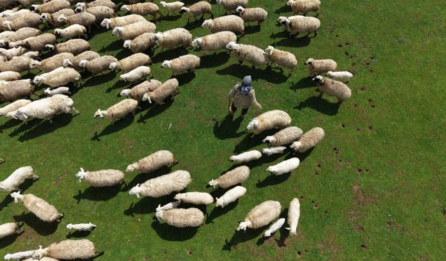 Genç besicilere büyük destek başladı