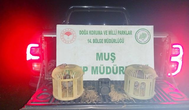 Kaçak keklik avına suçüstü, 65 bin TL ceza kesildi