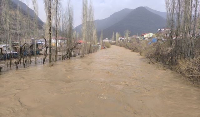 Şiddetli yağış sonrası Habur Çayı coştu