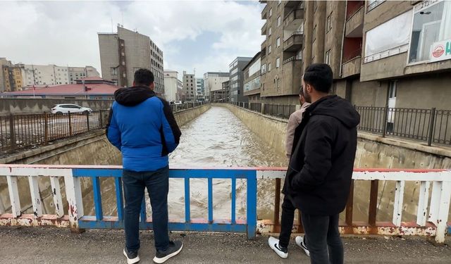 Bereket taşkını 10 yıl sonra gelen görsel şölen