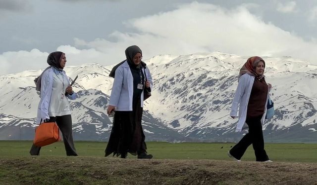 Fedakar ebeler gebeler için yollarda