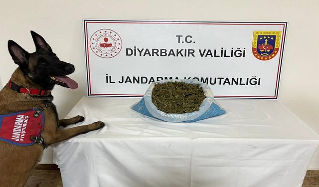Diyarbakır’da 23 kilo esrar ele geçirildi
