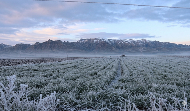 Meteorolojiden zirai don uyarısı