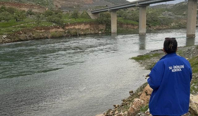 Ilısu’da Sazangil Avına Geçit Yok