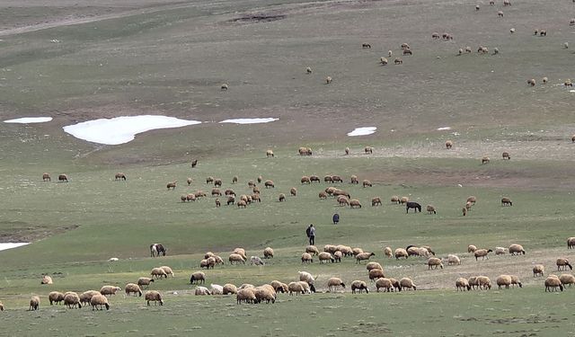 İki Mevsim Aynı Anda Görüntülendi