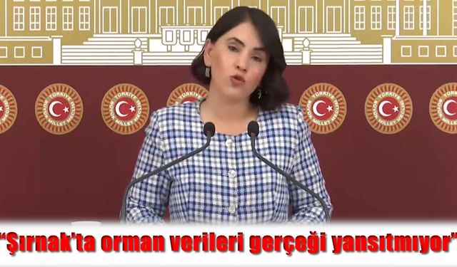 Aslan, “Şırnak’ta orman verileri gerçeği yansıtmıyor”