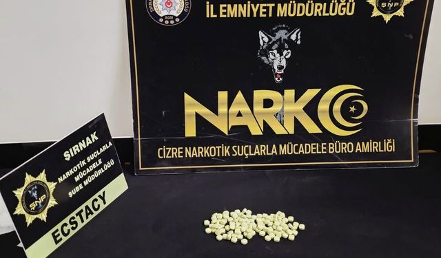 Cizre’de Şüphe Üzerine Durdurulan Araçta 2 Kişi Yakalandı