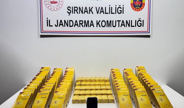 Şırnak’ta Operasyon, 1 Tutuklama