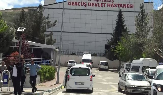 Piknikte akrep sokan kadın hastanelik oldu