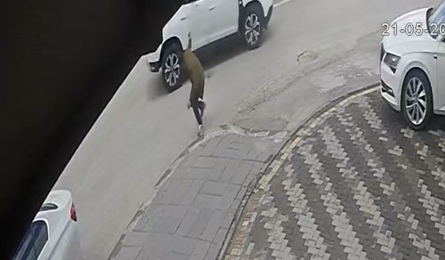 Güncel