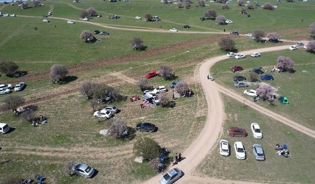 Badem çiçekleri Çarpanak Yarımadası'nda görsel şölen sundu