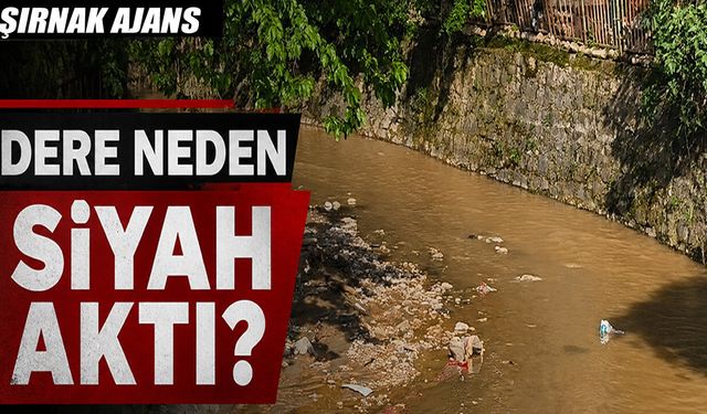 Silopi Celâl Deresi’ni Kim Kararttı?