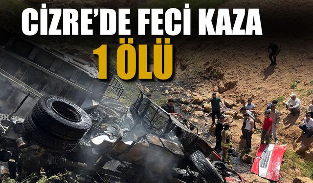 Cizre’de Tır Kazası, 1 Kişi Öldü