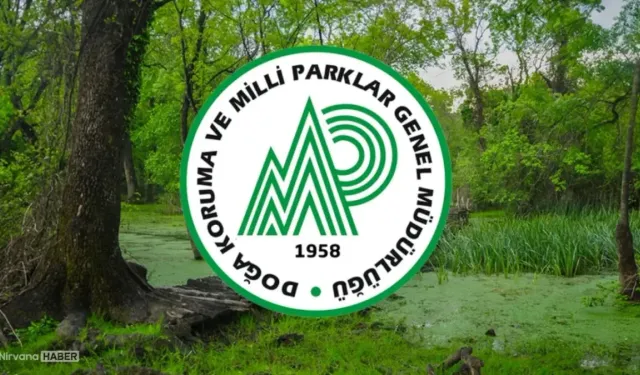 Doğa Koruma ve Milli Parklar 92 Sözleşmeli Personel Alacak