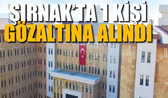 Şırnak’ta DEAŞ’a Yönelik Operasyon, 1 Gözaltı