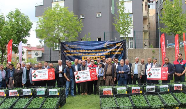 Şırnak’ta Tarıma Büyük Destek, Yüzde 75 Hibeli Fide Dağıtımı