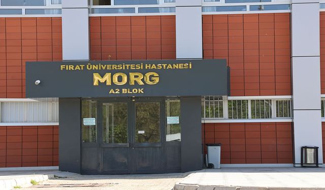 Güncel
