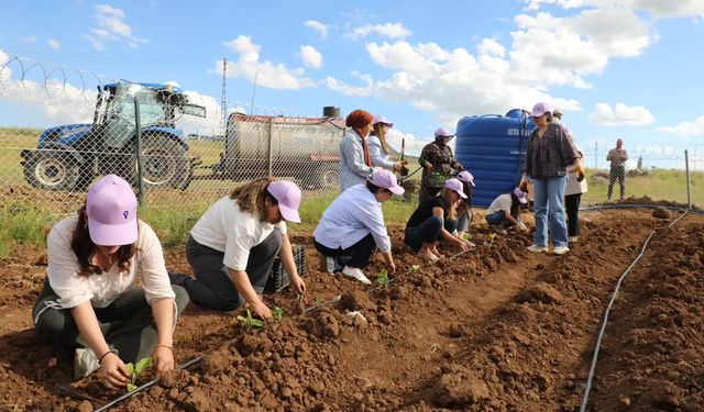 Cizre'de Ezber Bozan Proje, Kadın Bostanı Kuruldu